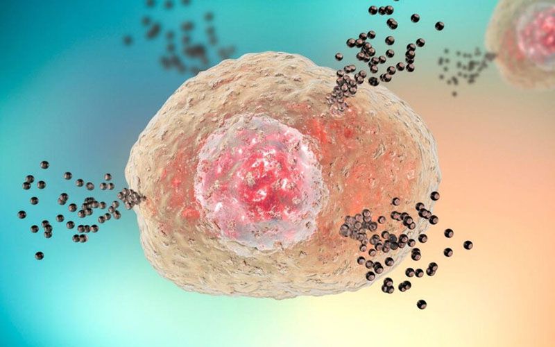 生化試劑與代謝研究工具